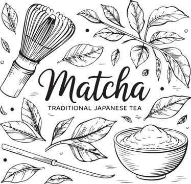 Matcha tea vector drawing. Bowl with matcha powder, green tea leaves, and bamboo whisk sketch.