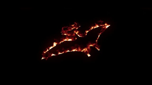 Realistic fire effect of pterodactyl silhouette with burning flames on black background