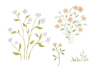 Fototapeta premium Watercolour wildflowers painting on isolated background, forest greenery in rural field. Nature elements set