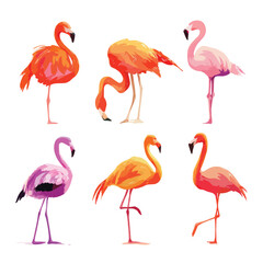 Obraz premium set of pink flamingos