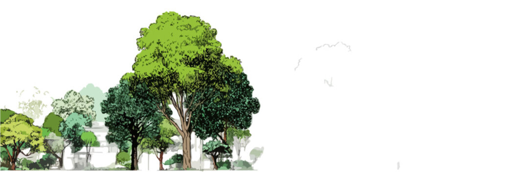 Ilustra&ccedil;&atilde;o de &aacute;rvores verdes com folhagem densa e troncos em estilo aquarela, sobre fundo branco transparente.