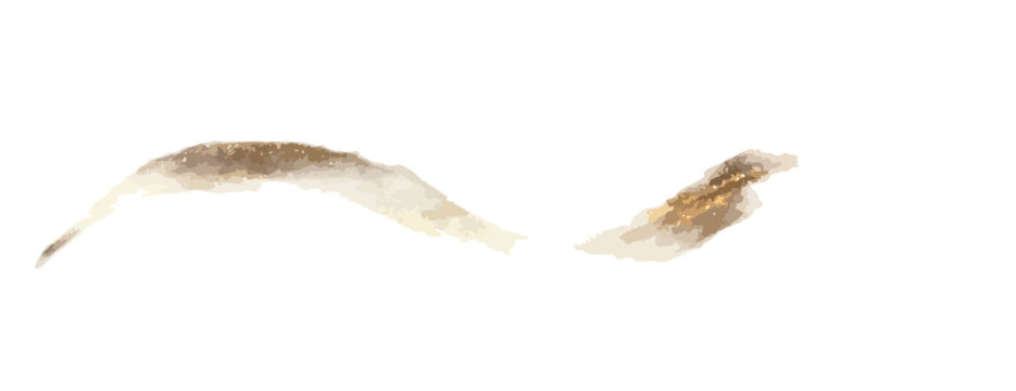Pinceladas abstratas em aquarela em tons de marrom e bege sobre fundo branco transparente