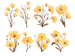 Conjunto de ilustra&ccedil;&otilde;es em aquarela de flores amarelas delicadas com galhos e folhas em fundo transparente