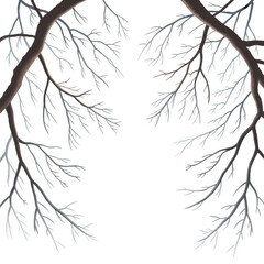 Fototapeta premium Bare tree branches against white sky