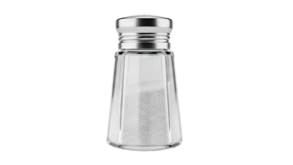 Glass Salt Shaker with Metal Lid and White Granules