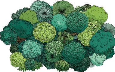 Vista a&eacute;rea de un grupo diverso de &aacute;rboles verdes y arbustos, estilo de ilustraci&oacute;n de dibujos animados, fondo transparente.