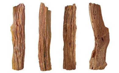 Rustic wood branch. Weathered driftwood or willow log isolate. Broken tree branches with detached bark. 
