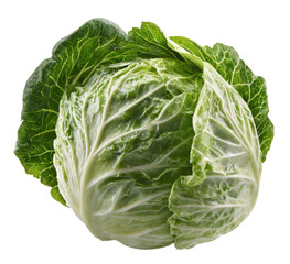 Fototapeta premium Fresh Green Cabbage Head with Water Droplets, Studio Shot Isolated on Transparent Background