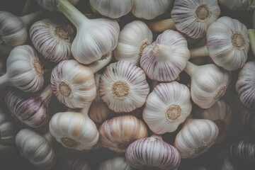 Close-up of fresh garlic bulbs