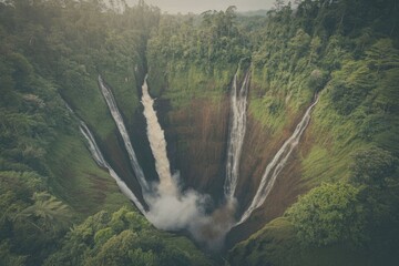 Lush forest waterfall plunging into pool