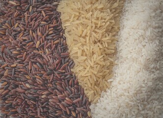 Three types of rice displayed side by side