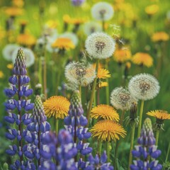 Vibrant wildflower meadow in bloom