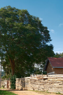 Iringa is a peaceful mountain town with charming houses, tree‑lined roads, and refreshing highland scenery.