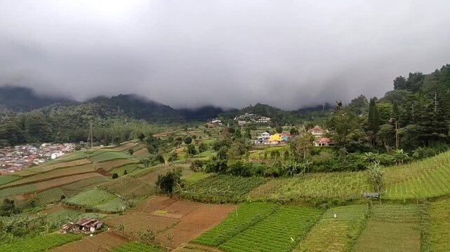 A beautiful and cool view of a plantation overgrown with plants and trees with a cloudy sky on the slopes of Mount Gede, Bogor City, Indonesia