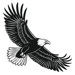 Fototapeta premium bald eagle in flight