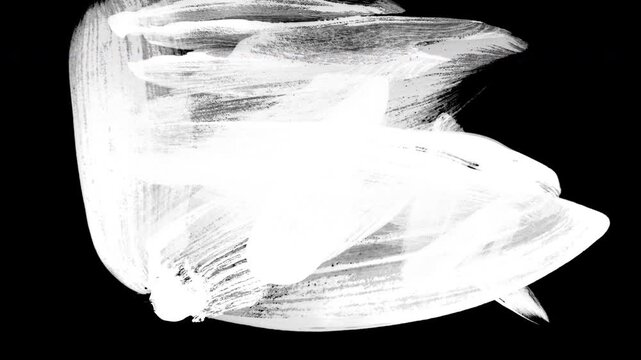 5 Paint Brush Transitions with Transparent Background - Paint brush effects for making transition between video footage
