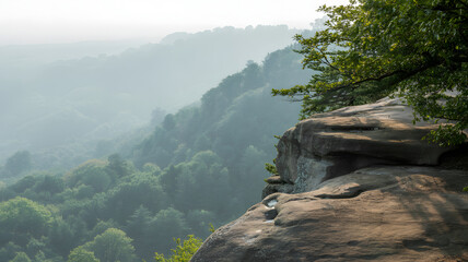 Overlooking forest from cliff edge
