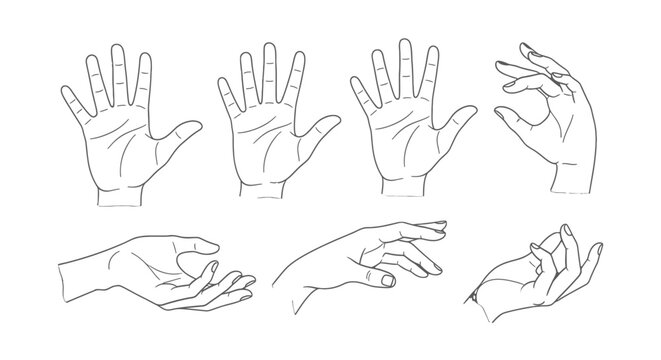 Line drawings of hands in various gestures and positions.