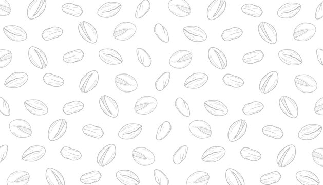 Pistachio nut seamless pattern hand drawn line art style for packaging. Nuts outline hand drawn background texture.