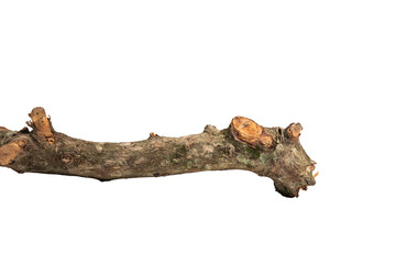 Fototapeta premium Weathered wooden branch adorned with knots and metal attachment, resembling a shark with a fin, showcasing the beauty of natural plant materials On Transparent Background.