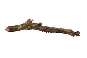 Fototapeta premium Weathered Wooden Branch with Metal Attachment, Resembling a Shark with Fin, Crafted from Natural and Plant Materials for Artistic Expression On Transparent Background.