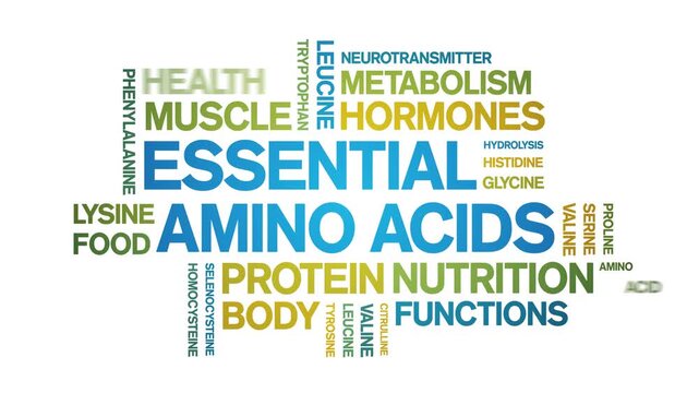 Essential Amino Acids animated word cloud-text design animation tag kinetic typography seamless loop.