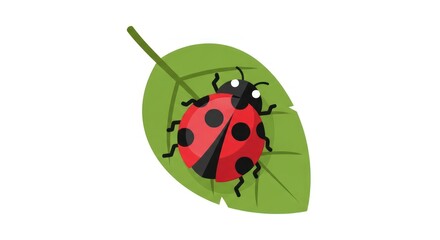 Obraz premium Ladybug resting on a vibrant green leaf, nature, wildlife