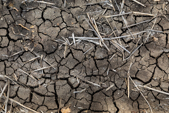 Dry and cracked black earth