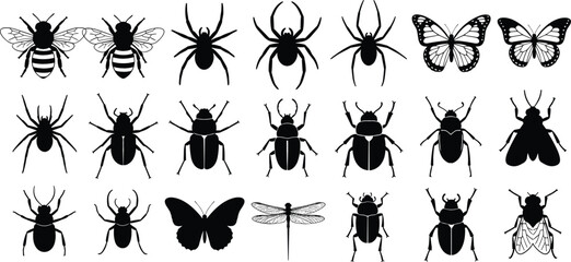 Insect and arachnid silhouette icon set with spider butterfly bee beetle and dragonfly for nature biology and pest control vector © NURUL