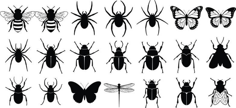 Insect and arachnid silhouette icon set with spider butterfly bee beetle and dragonfly for nature biology and pest control vector