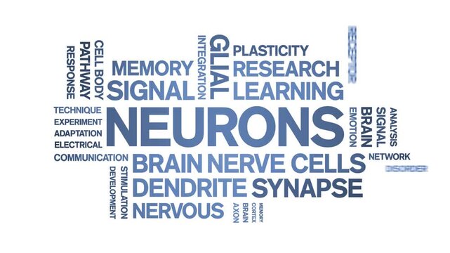 Neurons animated word cloud-text design animation tag kinetic typography seamless loop.