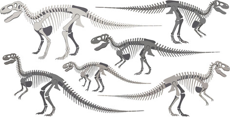 Obraz premium Collection of Dinosaur Skeletons Illustrating Prehistoric Life and Paleontology Discoveries