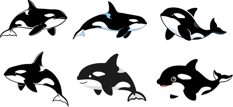 Set of adorable cartoon killer whale orcas swimming in the ocean, underwater marine life illustration