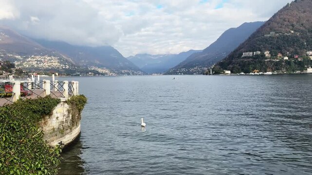 Beautiful view of Como lake, Italy. White swan floating near the shore. Alps mountains with clouds in the background. Beautiful landscape at sunny day. 
