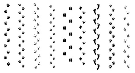 Obraz premium Tracks set of various animals and human