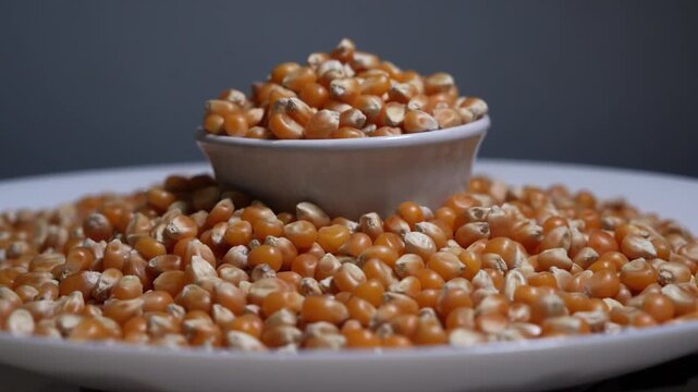 A vibrant closeup shot of numerous golden yellow corn kernels showcasing their natural texture and rich color ideal for themes related to agriculture healthy eating farming and food production