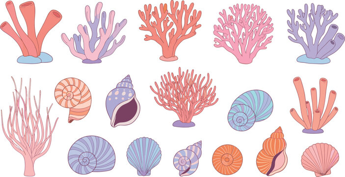Coral reef and seashell vector set with colorful underwater marine plants ocean life and decorative aquatic elements illustration