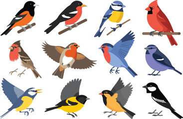 Obraz premium Cute Garden Bird Line Icon Collection Flying Birds, Nests, and Feathers