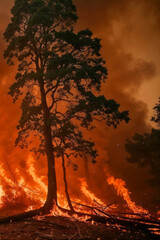 A tree is surrounded by flames and smoke. The fire is very large and is spreading quickly. Scene is one of danger and destruction