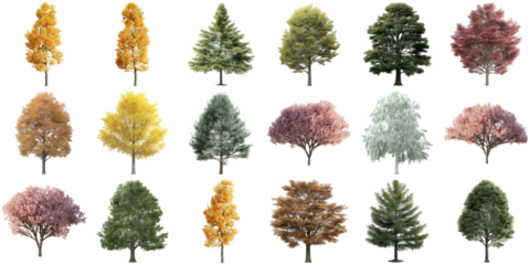 diverse collection of 3d rendered deciduous and coniferous trees in various seasons, on black.