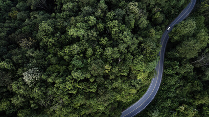 Fototapeta premium Top view road in beautiful autumn forest at sunset, trees with red and orange leaves , Beautiful landscape view from flying drone in Nature