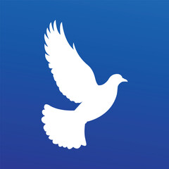 Obraz premium White dove logo. Business icon symbol and company template