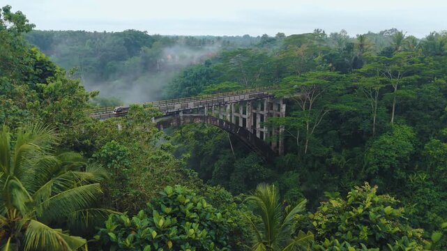 Aerial drone flight over bridge over the abyss and jungle, Ubud, Bali, Indonesia, 4k
