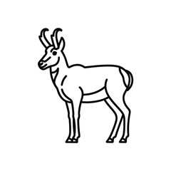 Obraz premium Black and white line of a goat with curved horns line black and white animal outline