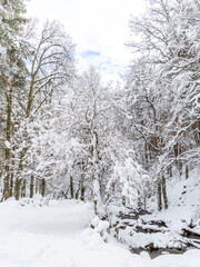 Snowy landscape of mountains port of Canencia in Madrid, Spain