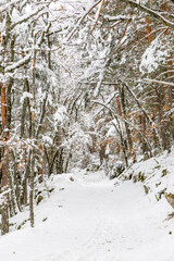 Fototapeta premium Snowy landscape of mountains port of Canencia in Madrid, Spain