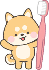 歯ブラシを持つ茶色の柴犬
