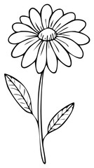 Simple Outline Drawing of a Daisy Flower with Stem and Leaves