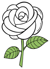 Simple Outline Drawing of a White Rose with Green Leaves and Stem