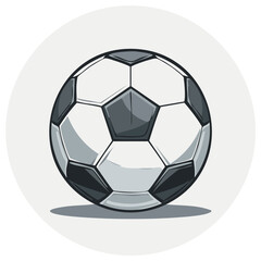 Fototapeta premium Classic Soccer Ball Illustration with Shadow and Soft Circular Background
